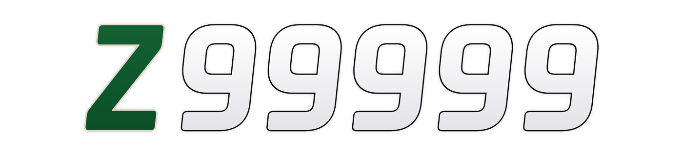 z99999 Logo